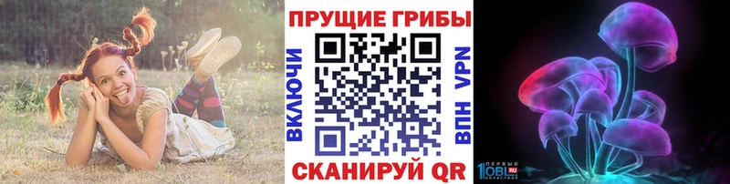 Псилоцибиновые грибы мицелий  продажа наркотиков  мега маркетплейс  Иркутск 